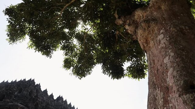 Majestic Borobudur Temple: The World's Largest Buddhist Sanctuary