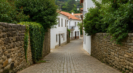 Fototapeta premium Charming Cobblestone Street Surrounded by White Houses and Greenery