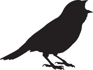 House sparrow silhouette. Common urban bird, often seen in flocks. Adobe Illustrator Artwork