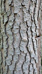Obraz premium Texture of Time: A close-up photograph of a tree's textured bark, showcasing the intricate patterns and rugged surface that tell a silent story of time and resilience.