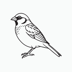 Obraz premium house sparrow bird silhouette vector