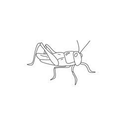 grasshopper line icon