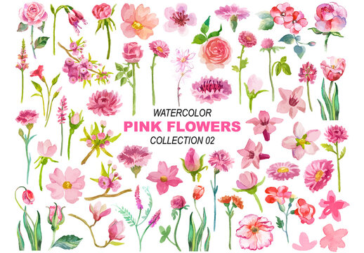 Vector watercolor painted pink flowers clipart. Hand drawn elements isolated on white background