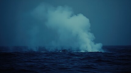Blowholes release powerful mists into the air as whales cross the sea