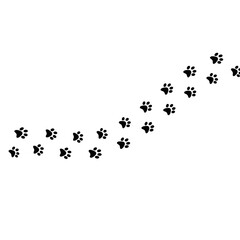 Fototapeta premium Paw Walking Shape