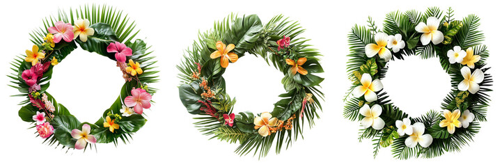 Set of A lush, circular wreath of exotic tropical leaves like monstera and ferns, adorned with bright red and yellow flowers on transparent png background. Ai generated