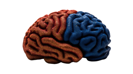 Brain's Dualities: An artistic representation of the human brain, with a vivid contrast between its hemispheres, symbolizes the balance between logic and creativity