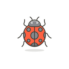 ladybird vector illustration