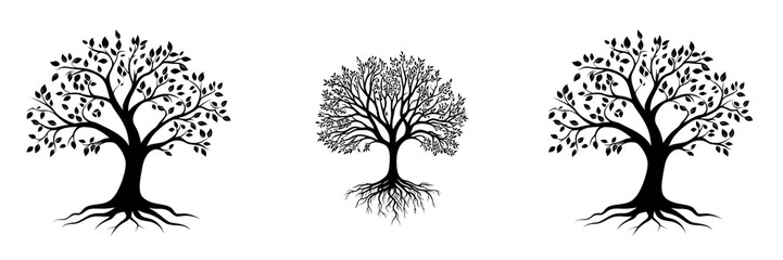 Set of A solitary black and white silhouette of a large tree with exposed roots on transparent png background. Ai generated