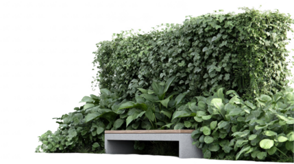 Lush green wall of ivy and foliage surrounding a modern concrete bench in a tranquil garden setting