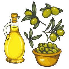 Hand-drawn vector illustration of olives and olive oil. Includes glass bottle of olive oil, green olives in a bowl, and olive branches with leaves. Vintage color sketch style.
