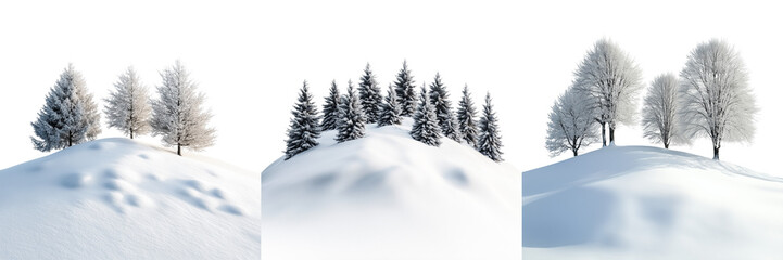 Fototapeta premium Set of Frosted trees in a foggy winter landscape, standing isolated against on transparent png background. Ai generated