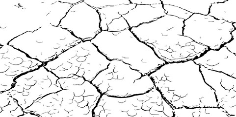 Vector background. Desert backdrop.The cracks texture white and black.Cracks in dry surface soil texture
