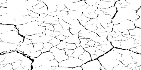 Vector background. Desert backdrop.The cracks texture white and black.Cracks in dry surface soil texture
