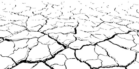 Vector background. Desert backdrop.The cracks texture white and black.Cracks in dry surface soil texture

