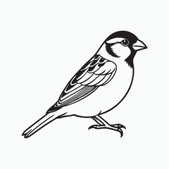 Obraz premium house sparrow bird silhouette vector