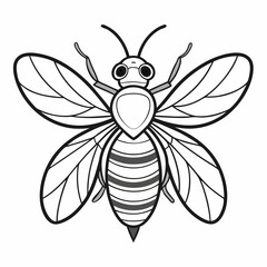 black and white butterfly