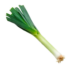 A leek isolated on a transparent background