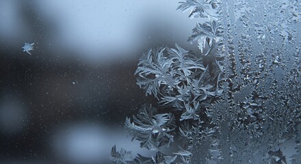 Winter's Delicate Embrace: Frost Patterns on Glass