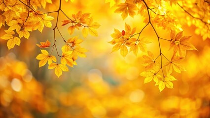 Fototapeta premium Autumn branch with vibrant yellow leaves, seasonal change, vibrant yellow, seasonal change