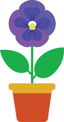 Pansy Flower Vector Detailed Botanical Illustrations of Pansies for Design and Decoration Projects