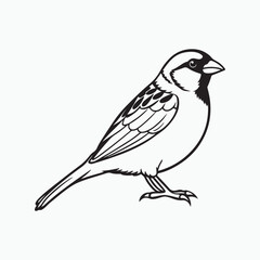 Obraz premium house sparrow bird silhouette vector