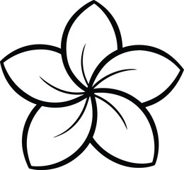 Plumeria flower in out line art drawing style. Plumeria flowers in continuous one  line art drawing. Frangipani blossom. Vector illustration.