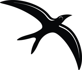 boomerang in flight on white background 