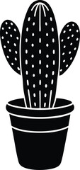 cactus in ceramic pot on white background  