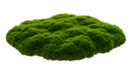 A vibrant green moss clump isolated against a black background creating a natural texture element for design