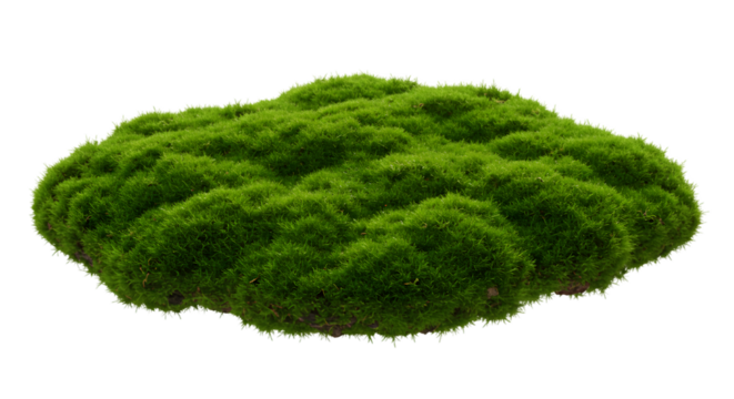 A vibrant green moss clump isolated against a black background creating a natural texture element for design
