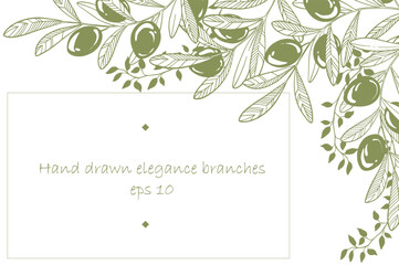 Frame of hand drawn vector olive branches for design.