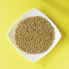 LENTEJAS (Lens Culinaris) EN UN PLATO SOBRE FONDO AMARILLO