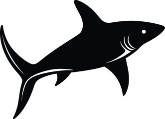 Obraz premium hammerhead shark on white background 