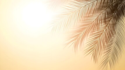 Fototapeta premium Silhouette of tropical leaves against a soft, golden sunset.