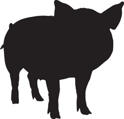 pig silhouette on white background