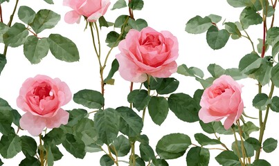 Fototapeta premium Pink roses growing from the ground, green leaves, white background, vintage wallpaper pattern, Generative AI