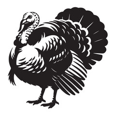 Turkey male silhouette front view. Farm animal icon Vector Black silhouettes. with white background