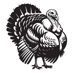 Turkey male silhouette front view. Farm animal icon Vector Black silhouettes. with white background