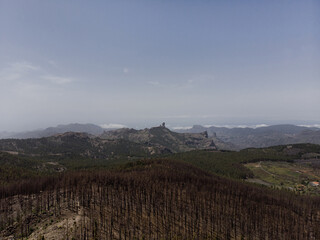 Aerial View of Burned Forest Landscape