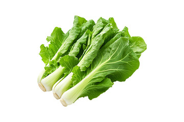 Fresh Endives isolated on transparent background