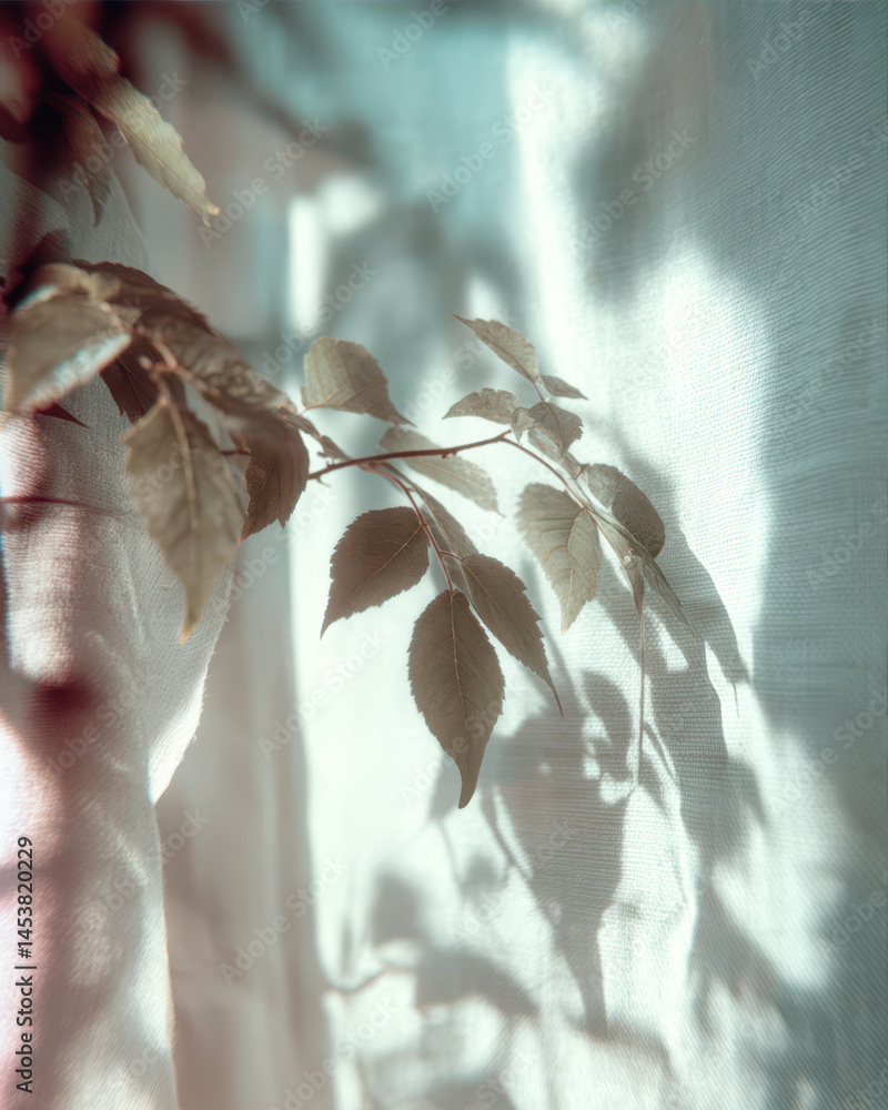 Poster soft natural shadows of tree leaves creating artistic patterns on a light background inside a serene
