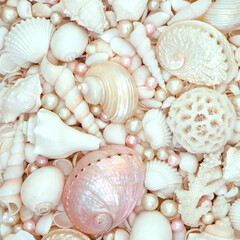 White and pink sea shells and oyster pearl background. Nature beach beautiful sea life composition for summer theme greeting card.