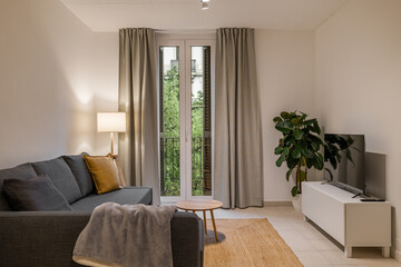 Front view of a bright living room with gray sofa, coffee table, plant, TV unit and tall window with curtains
