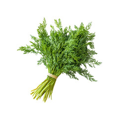 Fresh Bunch of Carrot Greens, Organic Carrot Tops, Healthy Vegetable