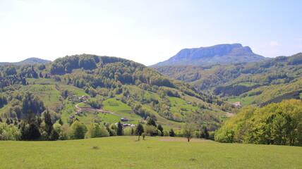Fototapeta premium landscape with mountains