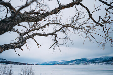 Winter Landscape With Frozen Lake And Bare Tree Branches Overcast Sky Scenic Views Cold Weather Northern Nature Serene Atmosphere Mountain Range Reflection