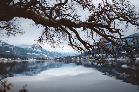 Tranquil Winter Landscape Reflections On Lake With Snowy Mountains And Bare Branches Overhanging Calm Water Serene Winter Scene