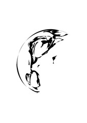 Die Erde halb im Schatten