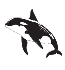 Fototapeta premium Drawing_of_Abstract_Design_of_Killer_Whale_Orca